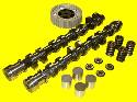 buy Cat Cams - (20V) 4AG Performance & Racing Cams